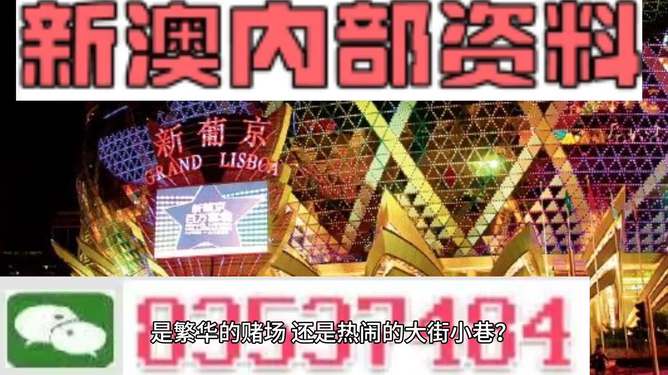 警惕新澳门精准资料大全管家婆料——揭露相关活动的违法本质