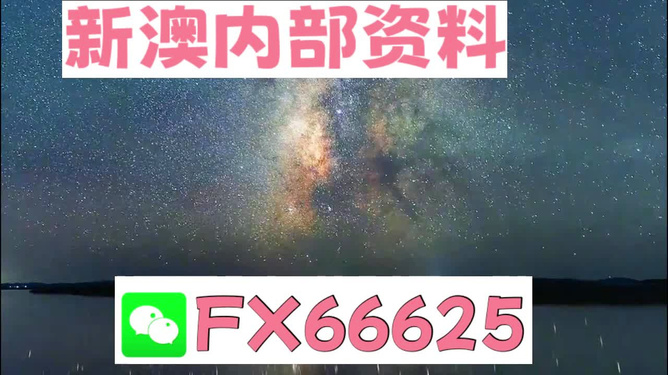 关于2024新澳正版免费资料的探讨——警惕违法犯罪风险