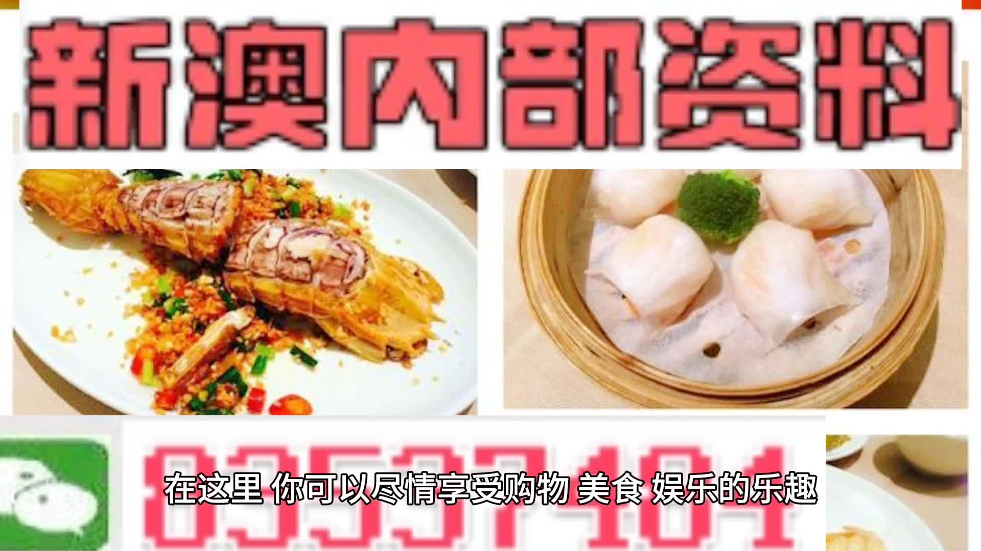 新奥天天精准资料大全，深度解析与应用展望