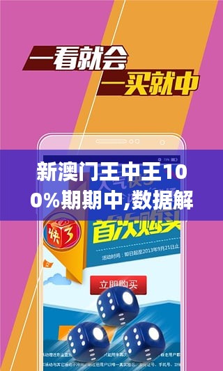 澳门王中王100%期期中——揭示背后的违法犯罪问题