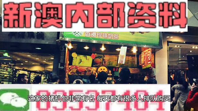 新奥天天精准资料大全，深度解析与实际应用